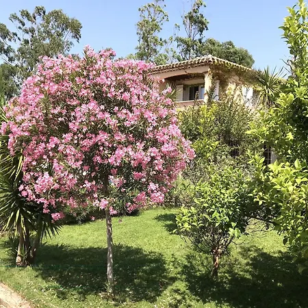 Magnifique Provencale 8-10 *